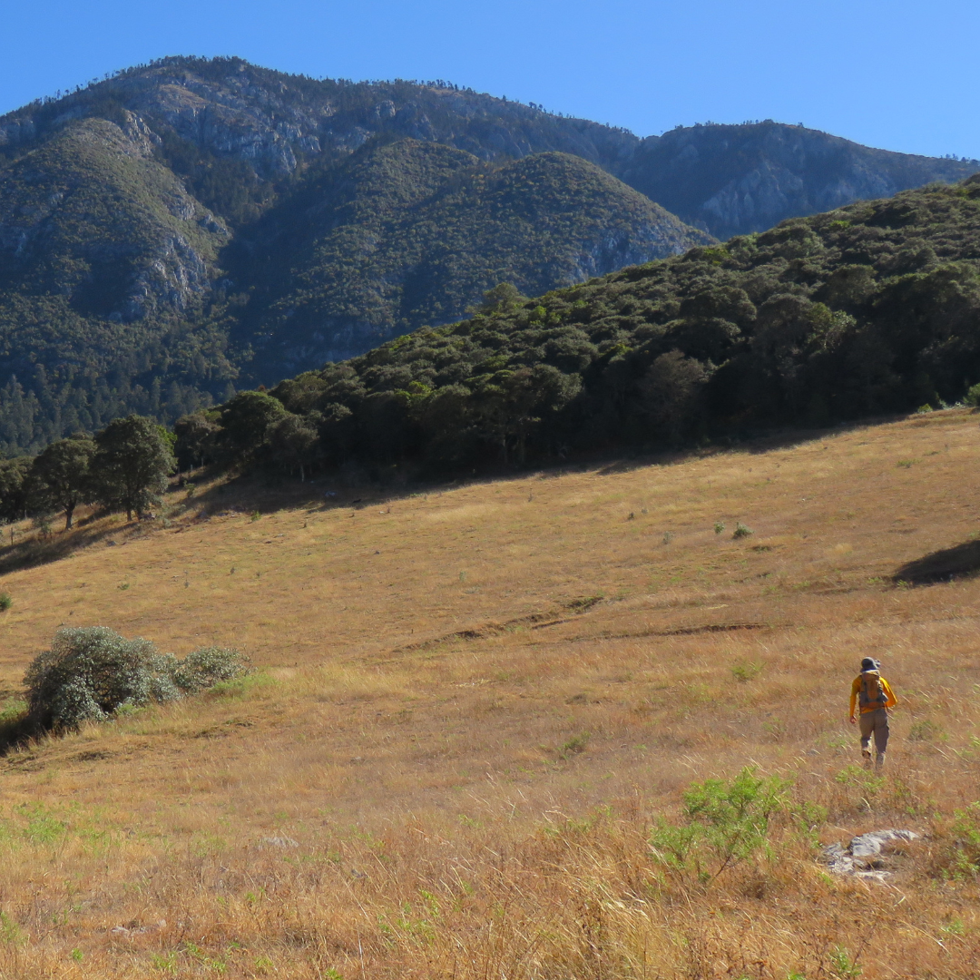 Guía de camping en caminatas largas en la montaña