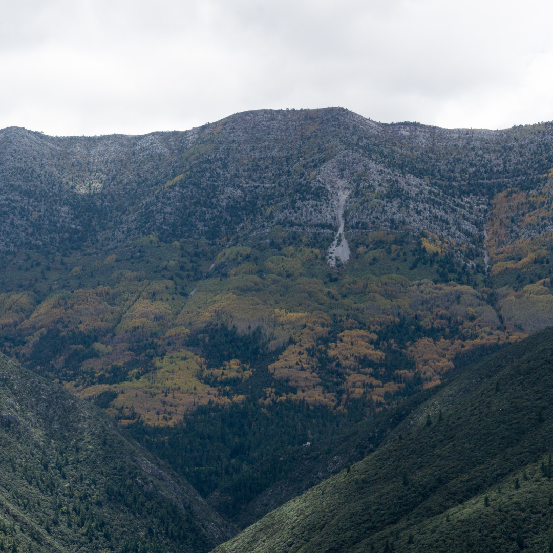 ¿Dónde puedo ir al baño en la montaña?