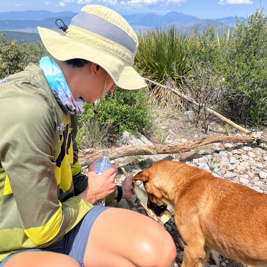 ¿Qué hacer si te sigue un perro en la montaña?